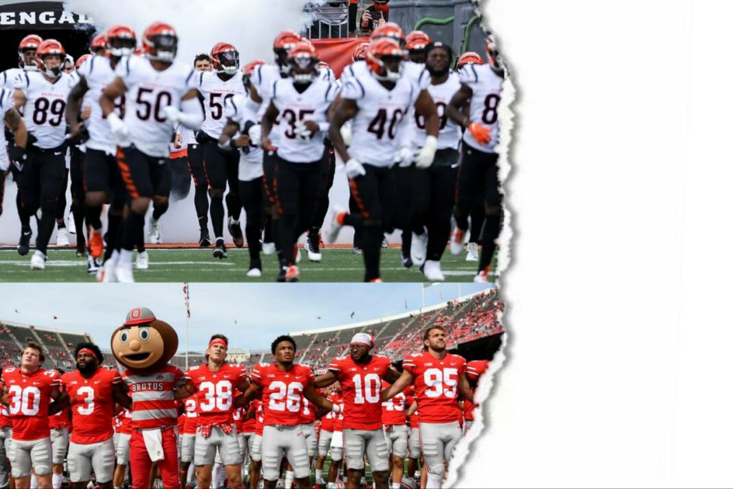 How many NFL teams are in Ohio in 2024? - NFL Exclusive